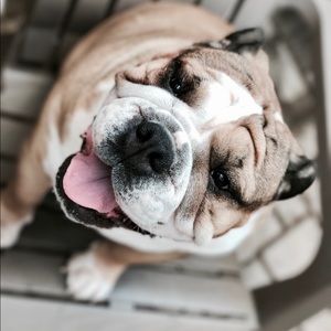 Meet your Posher, Andres